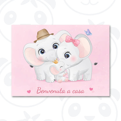 Baby girl birth banner