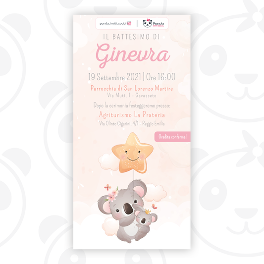 Invito digitale Battesimo bambina koala